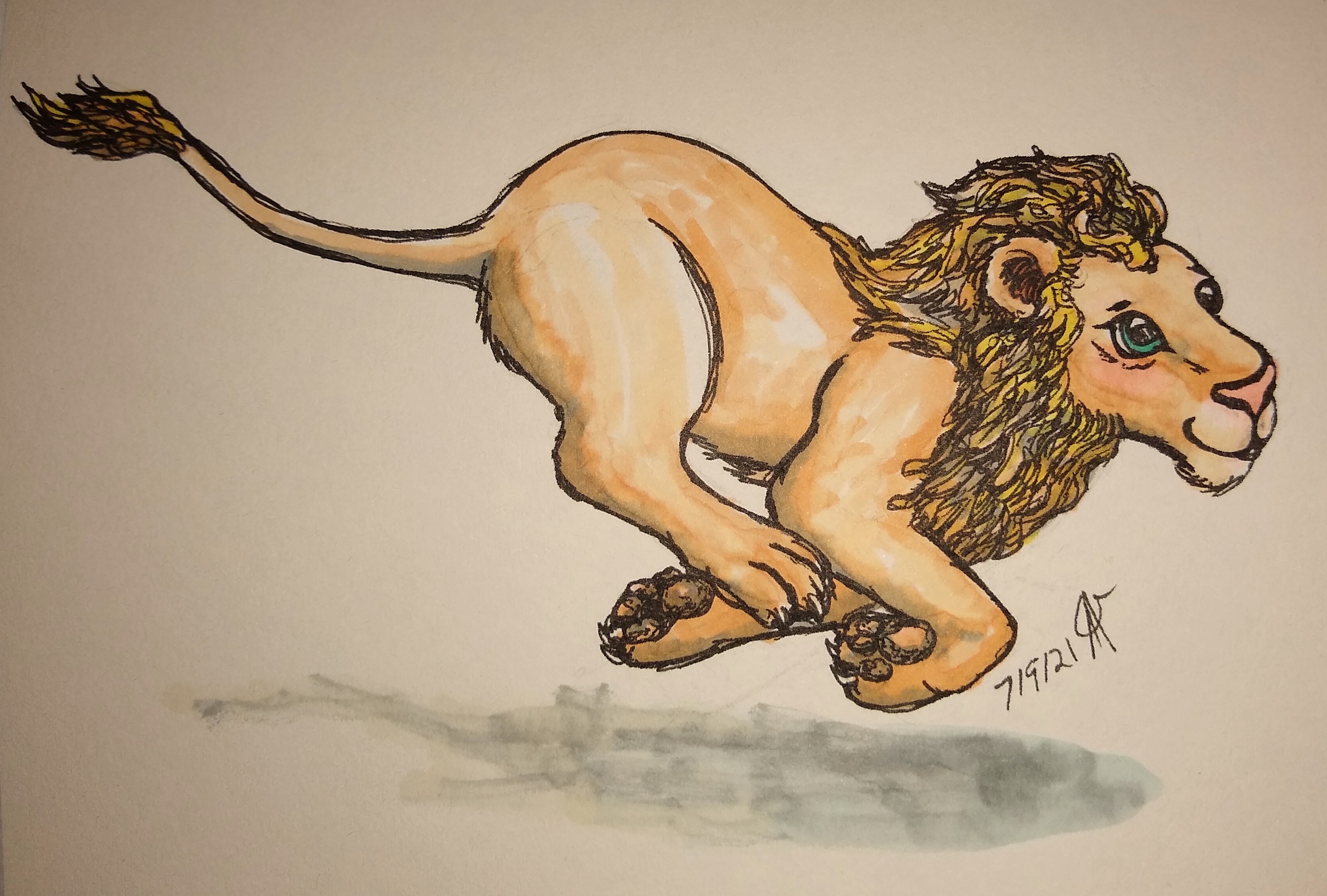 a cartoon style lion with blue eyes running about at high speed like a cat with the zoomies